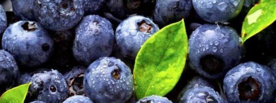 富含多酚的葡萄和蓝莓提取物被发现可减少认知能力下降