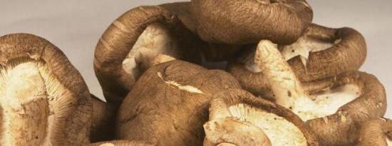 蘑菇被发现是关键抗氧化剂的有效来源