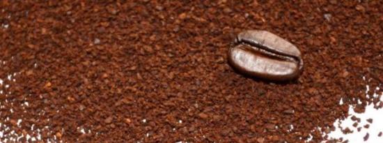 用过的咖啡渣可用作有机改良剂以提高土壤肥力