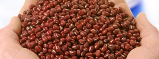 科学家探索外来豆类物种作为人类和动物营养的潜在替代来源