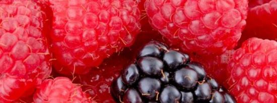 多吃浆果：花青素抑制肿瘤 可破坏癌症基因的表达