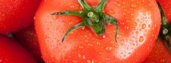西红柿被发现可以阻止胃癌 由于抗癌营养素