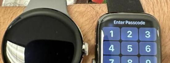 Reddit用户展示了像素手表的实时图像