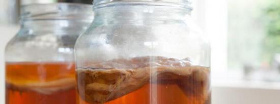 享受红茶菌的6个理由 这是一种有助于促进健康的美味饮料