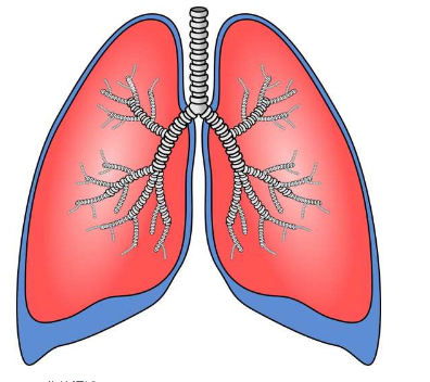 如何了解肺癌