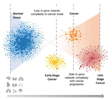 与癌症发病和进展相关的基因网络变化确定了靶向基因治疗的新候选者