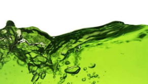 叶绿素水不能清洁你的皮肤或排毒你的肝脏
