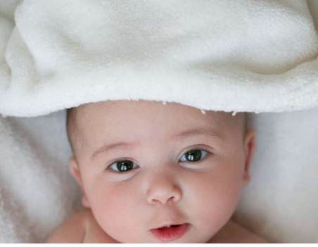 研究发现辅助生殖中的双胚胎移植会增加单胎并发症的风险