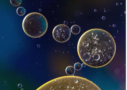 研究人员设计了像细胞胶一样起作用的分子