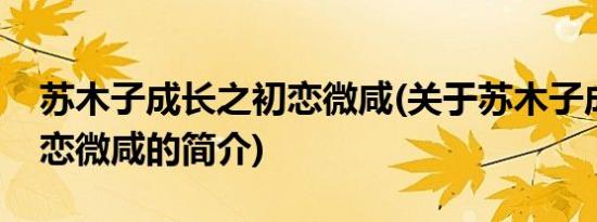 苏木子成长之初恋微咸(关于苏木子成长之初恋微咸的简介)