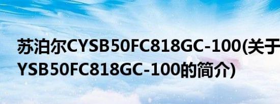 苏泊尔CYSB50FC818GC-100(关于苏泊尔CYSB50FC818GC-100的简介)