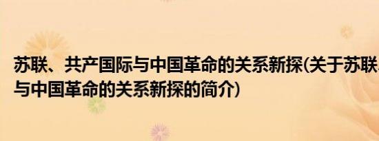 苏联、共产国际与中国革命的关系新探(关于苏联、共产国际与中国革命的关系新探的简介)