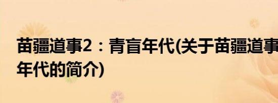 苗疆道事2：青盲年代(关于苗疆道事2：青盲年代的简介)