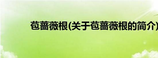 苞蔷薇根(关于苞蔷薇根的简介)