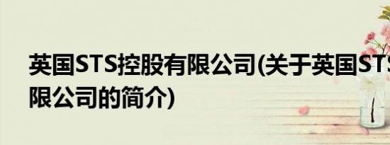 英国STS控股有限公司(关于英国STS控股有限公司的简介)