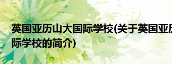 英国亚历山大国际学校(关于英国亚历山大国际学校的简介)