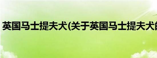 英国马士提夫犬(关于英国马士提夫犬的简介)