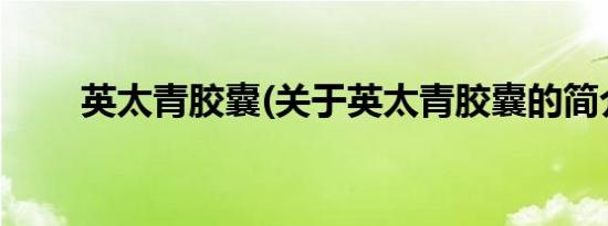 英太青胶囊(关于英太青胶囊的简介)