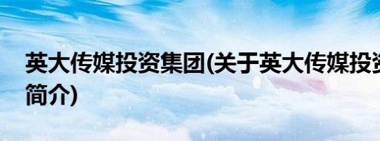 英大传媒投资集团(关于英大传媒投资集团的简介)