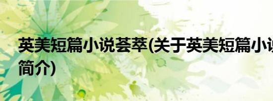 英美短篇小说荟萃(关于英美短篇小说荟萃的简介)