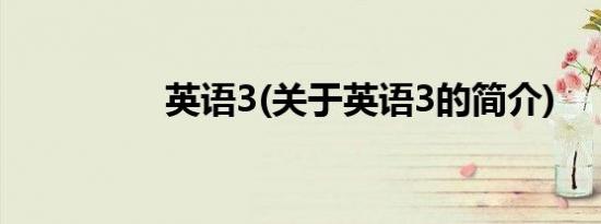 英语3(关于英语3的简介)