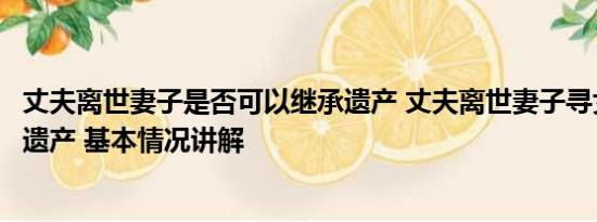 丈夫离世妻子是否可以继承遗产 丈夫离世妻子寻女继承百万遗产 基本情况讲解