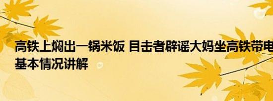 高铁上焖出一锅米饭 目击者辟谣大妈坐高铁带电饭煲煮饭 基本情况讲解
