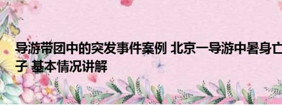 导游带团中的突发事件案例 北京一导游中暑身亡 系家中独子 基本情况讲解