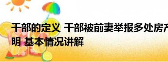 干部的定义 干部被前妻举报多处房产来源不明 基本情况讲解