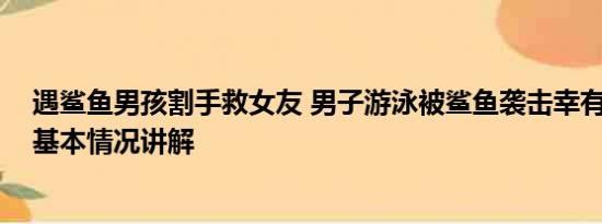 遇鲨鱼男孩割手救女友 男子游泳被鲨鱼袭击幸有海豚相救 基本情况讲解
