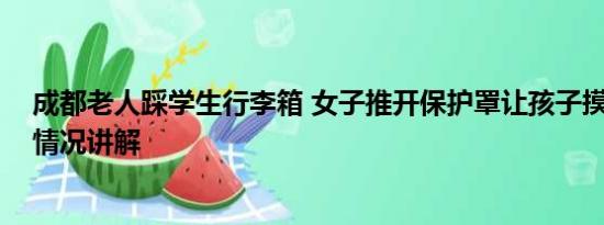 成都老人踩学生行李箱 女子推开保护罩让孩子摸文物 基本情况讲解