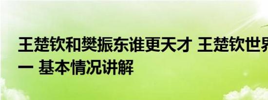 王楚钦和樊振东谁更天才 王楚钦世界排名第一 基本情况讲解