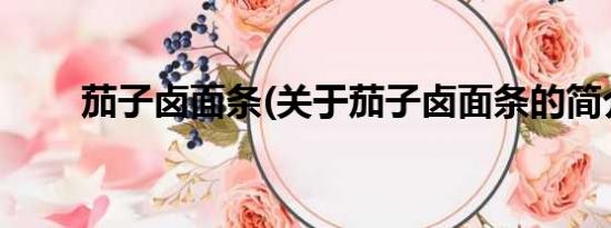 茄子卤面条(关于茄子卤面条的简介)