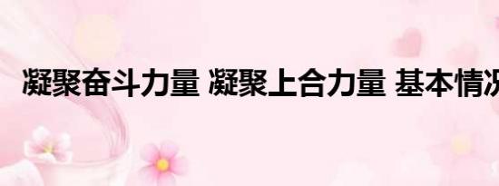 凝聚奋斗力量 凝聚上合力量 基本情况讲解