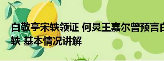 白敬亭宋轶领证 何炅王嘉尔曾预言白敬亭宋轶 基本情况讲解