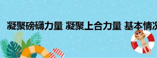 凝聚磅礴力量 凝聚上合力量 基本情况讲解