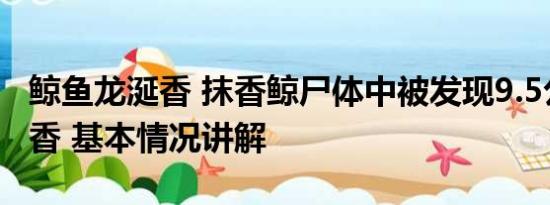 鲸鱼龙涎香 抹香鲸尸体中被发现9.5公斤龙涎香 基本情况讲解