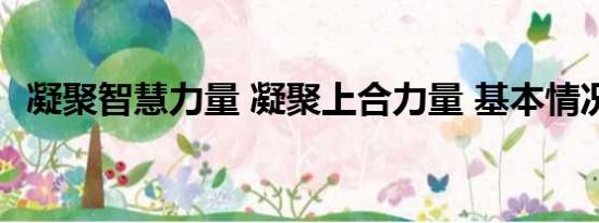 凝聚智慧力量 凝聚上合力量 基本情况讲解