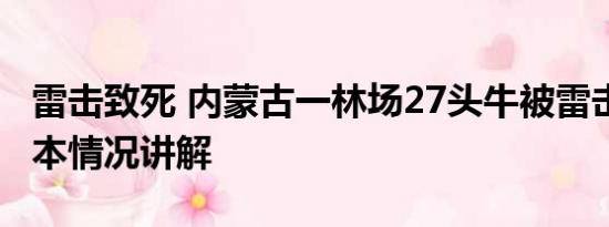 雷击致死 内蒙古一林场27头牛被雷击死亡 基本情况讲解