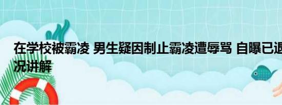 在学校被霸凌 男生疑因制止霸凌遭辱骂 自曝已退学 基本情况讲解