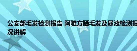 公安部毛发检测报告 阿雅方晒毛发及尿液检测报告 基本情况讲解
