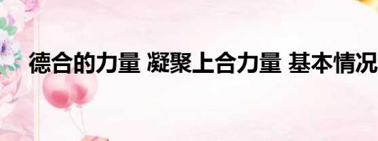 德合的力量 凝聚上合力量 基本情况讲解