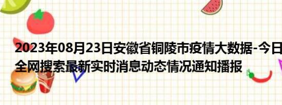 2023年08月23日安徽省铜陵市疫情大数据-今日/今天疫情全网搜索最新实时消息动态情况通知播报
