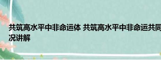 共筑高水平中非命运体 共筑高水平中非命运共同体 基本情况讲解