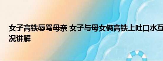 女子高铁辱骂母亲 女子与母女俩高铁上吐口水互殴 基本情况讲解