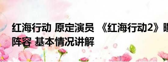 红海行动 原定演员 《红海行动2》曝光主演阵容 基本情况讲解