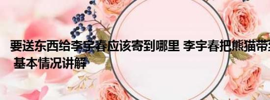 要送东西给李宇春应该寄到哪里 李宇春把熊猫带到了舞台上 基本情况讲解