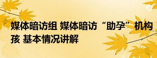 媒体暗访组 媒体暗访“助孕”机构：可选男孩 基本情况讲解