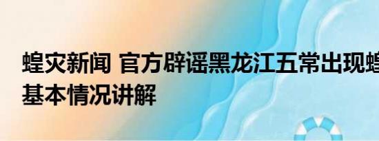 蝗灾新闻 官方辟谣黑龙江五常出现蝗虫灾害 基本情况讲解