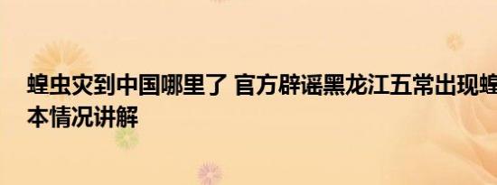 蝗虫灾到中国哪里了 官方辟谣黑龙江五常出现蝗虫灾害 基本情况讲解